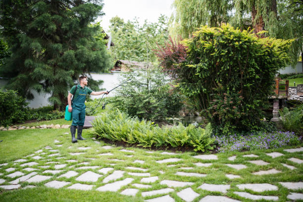 Best Mosquito Control Services  in Ely, MN