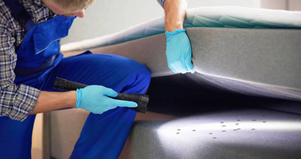 Best Pest Control Treatment  in Ely, MN